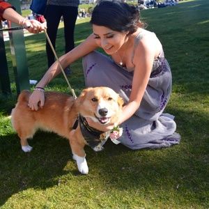 Meet your Posher, Shaina